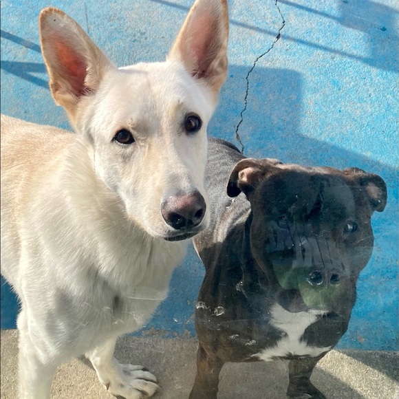 Meet your Posher, Jonathan - Picture 1 of 1